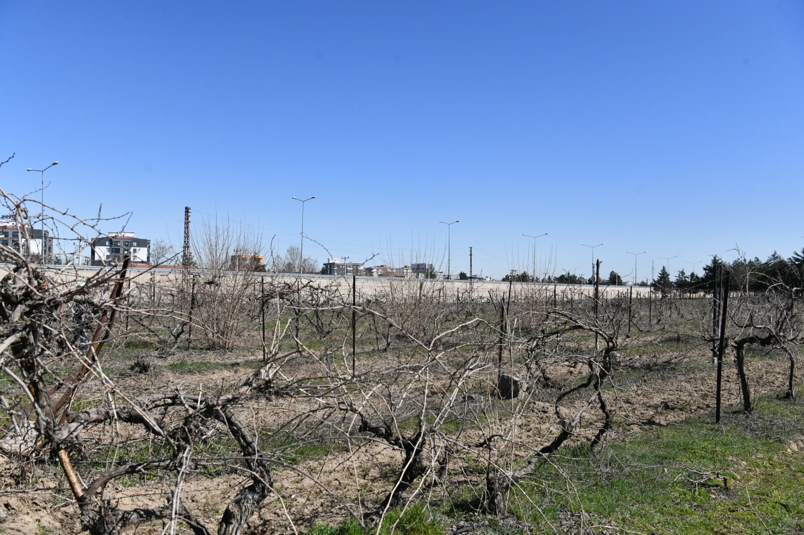 10d6f21a-610e-49b3-9d61-9bdc432b27f2