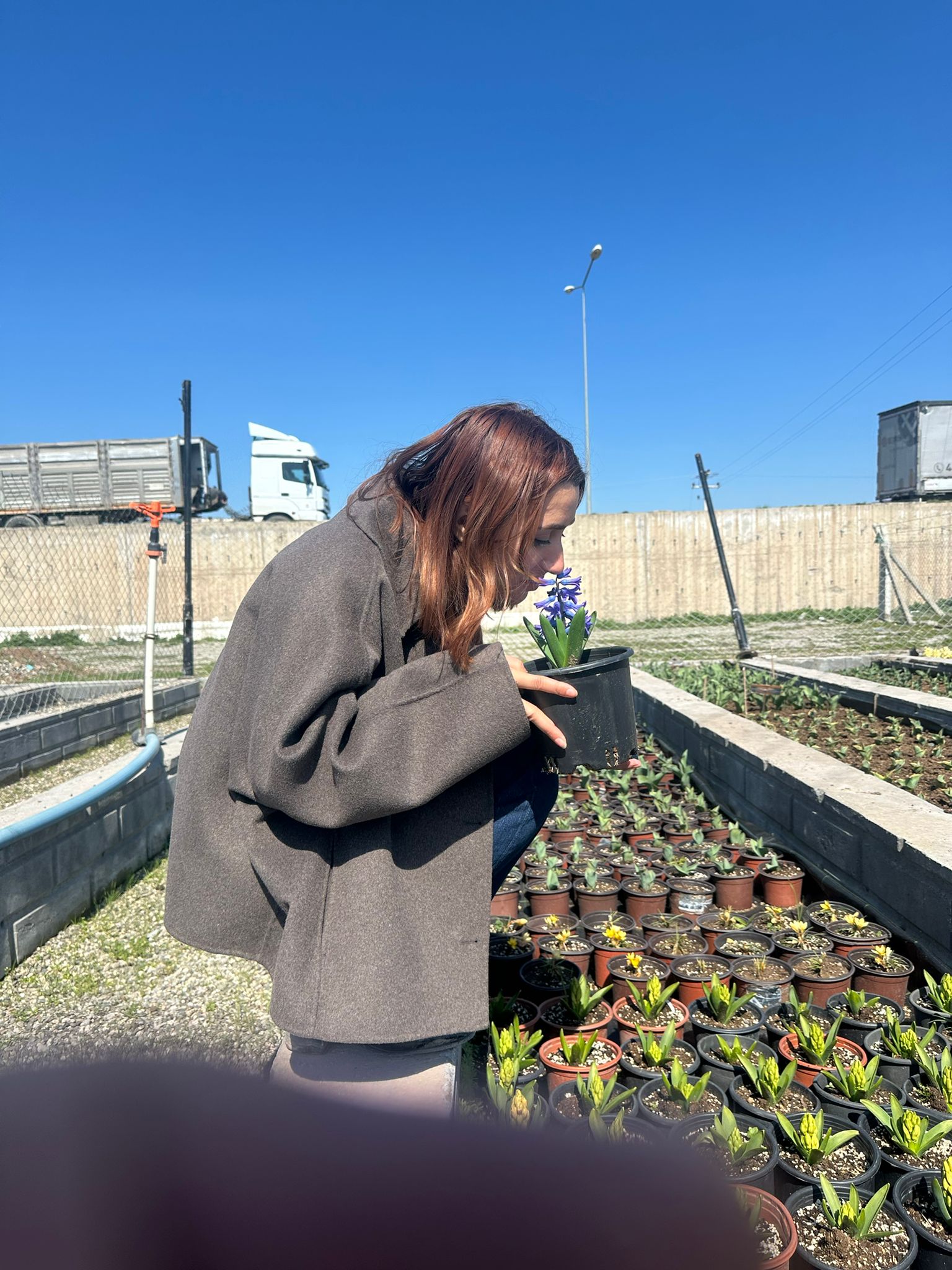 28e4aecd-ca65-4de3-b0d3-76b803d8c70c