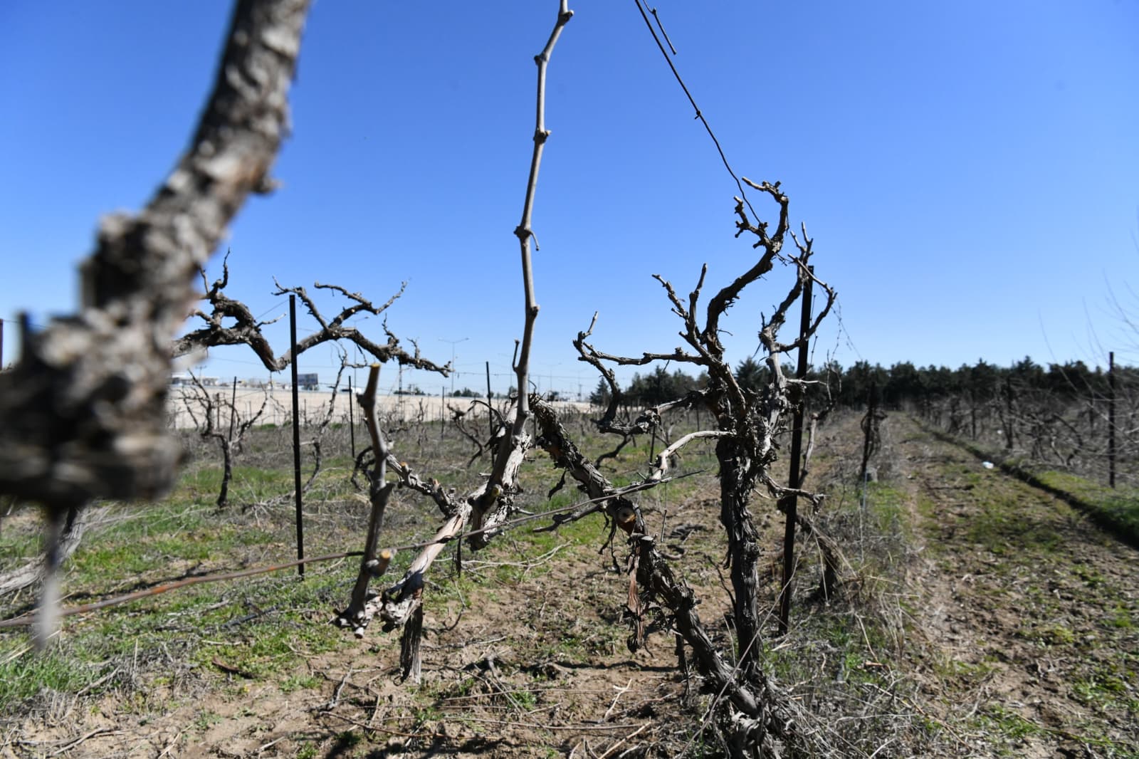 3c3de100-4314-4268-8072-8bde637aabe1