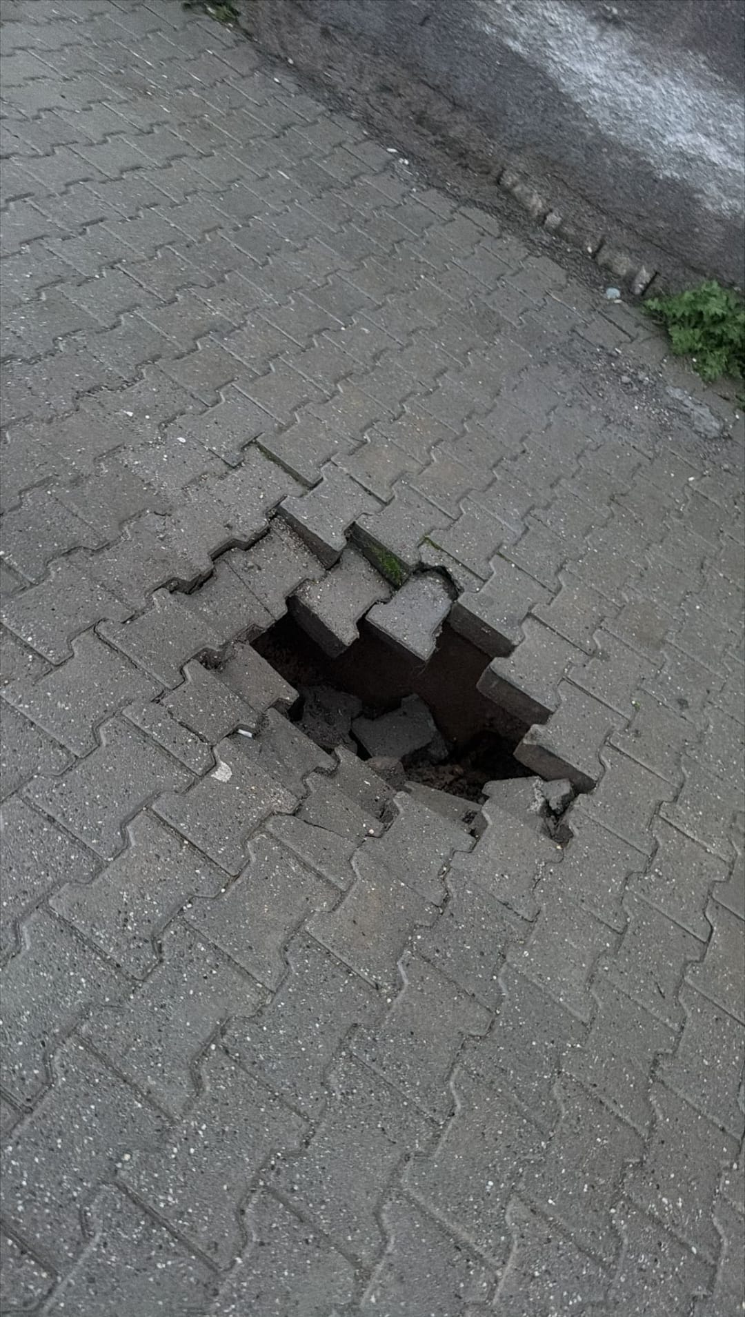 449d29bb-9a71-42a2-a38a-dc28c0335184