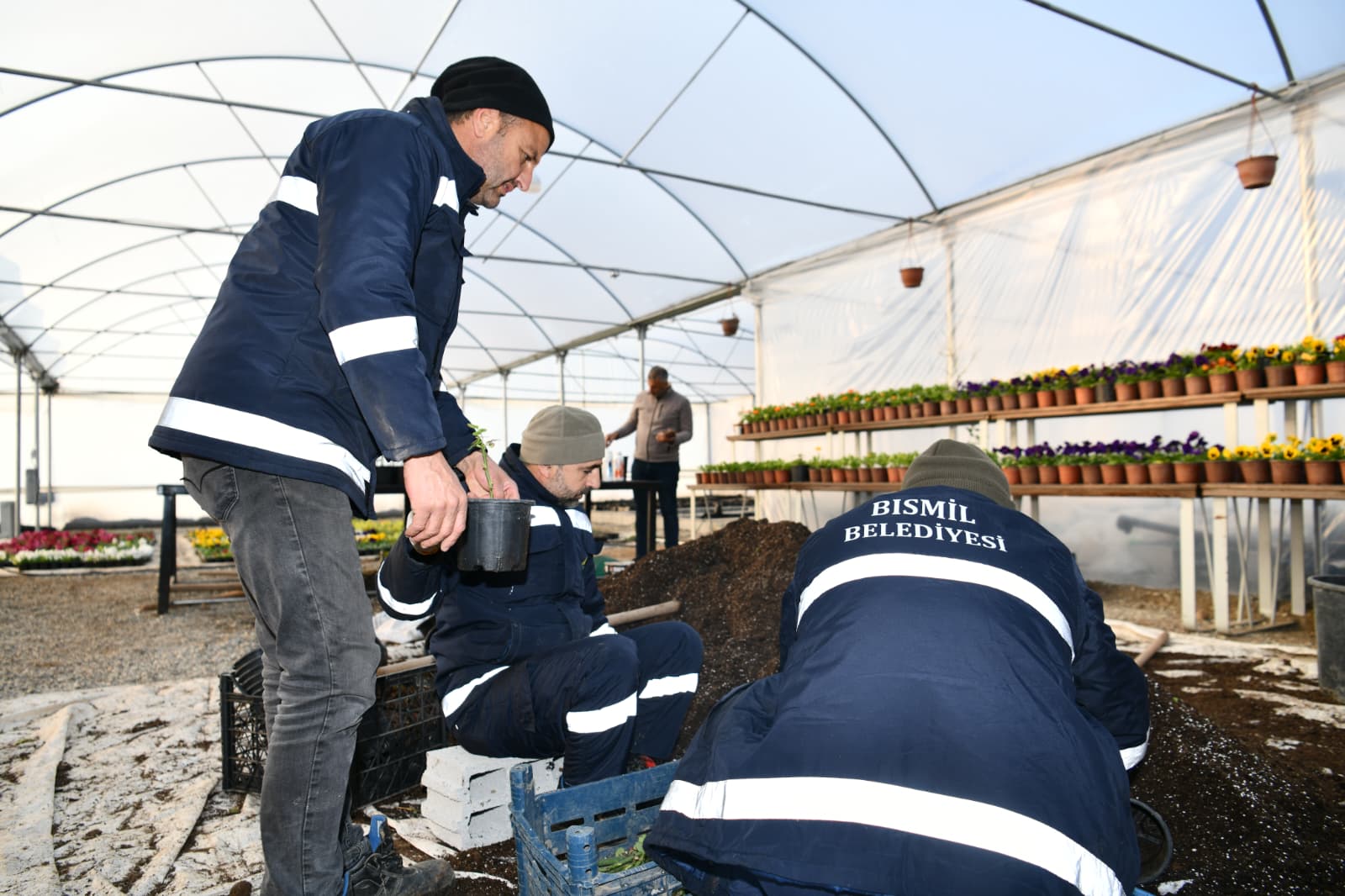 4a96b16f-33bc-48a1-8b33-4173fdfcf572