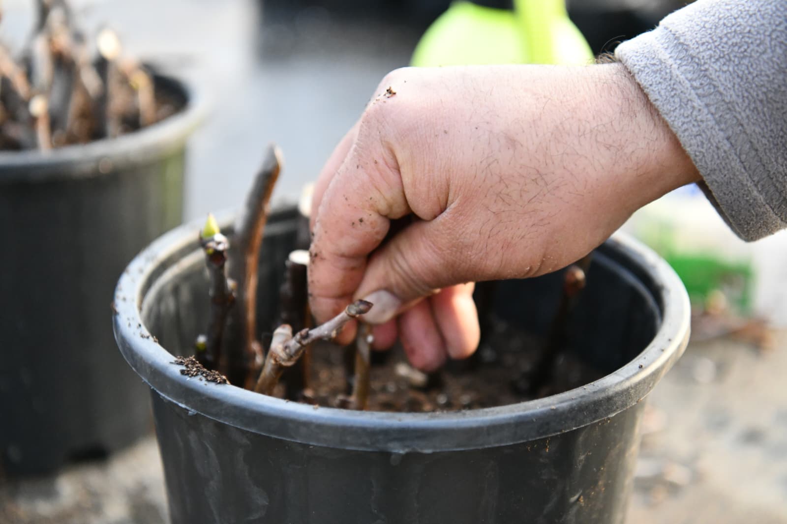 6bbf642e-2b32-4e07-91fd-bd8fd07c4300