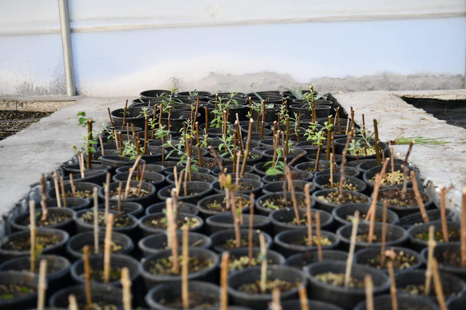 857b8cd1-d030-4e37-9efa-7a038bbece02