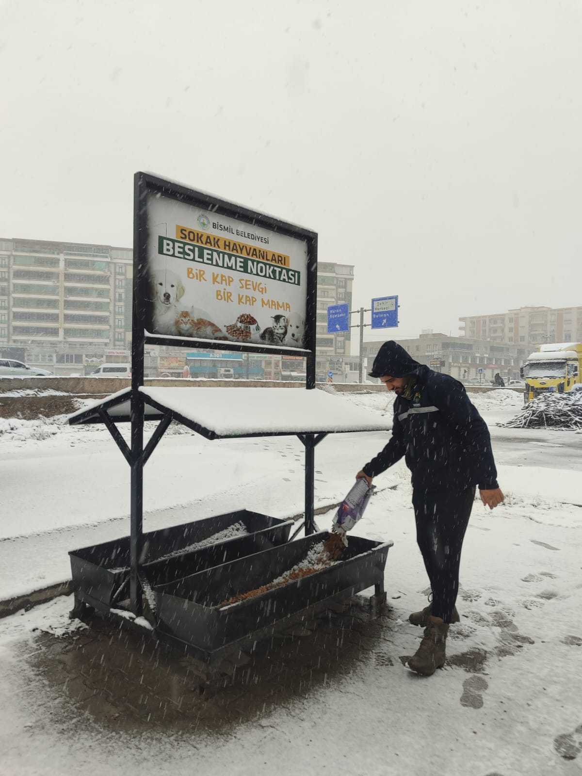 c4521292-2628-4bcc-af02-db395b5c6a0b