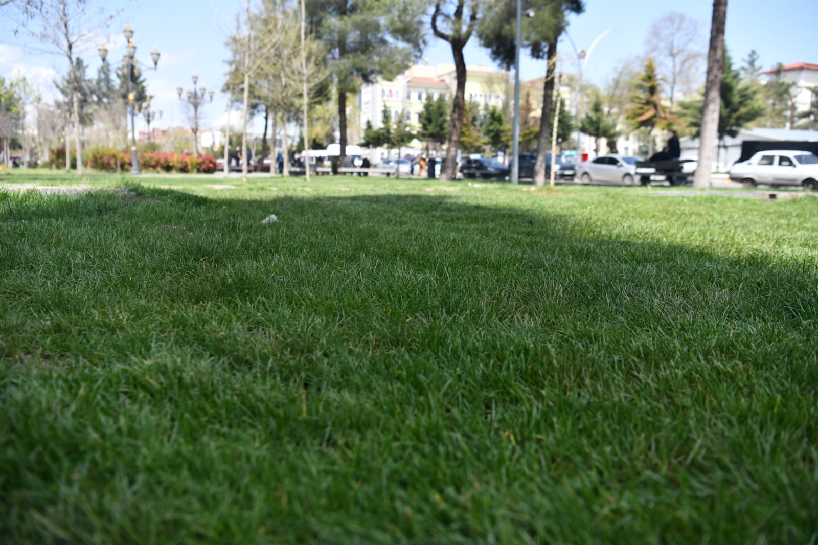 park ve bah&ccedil;e bahar bakım onarım (17)