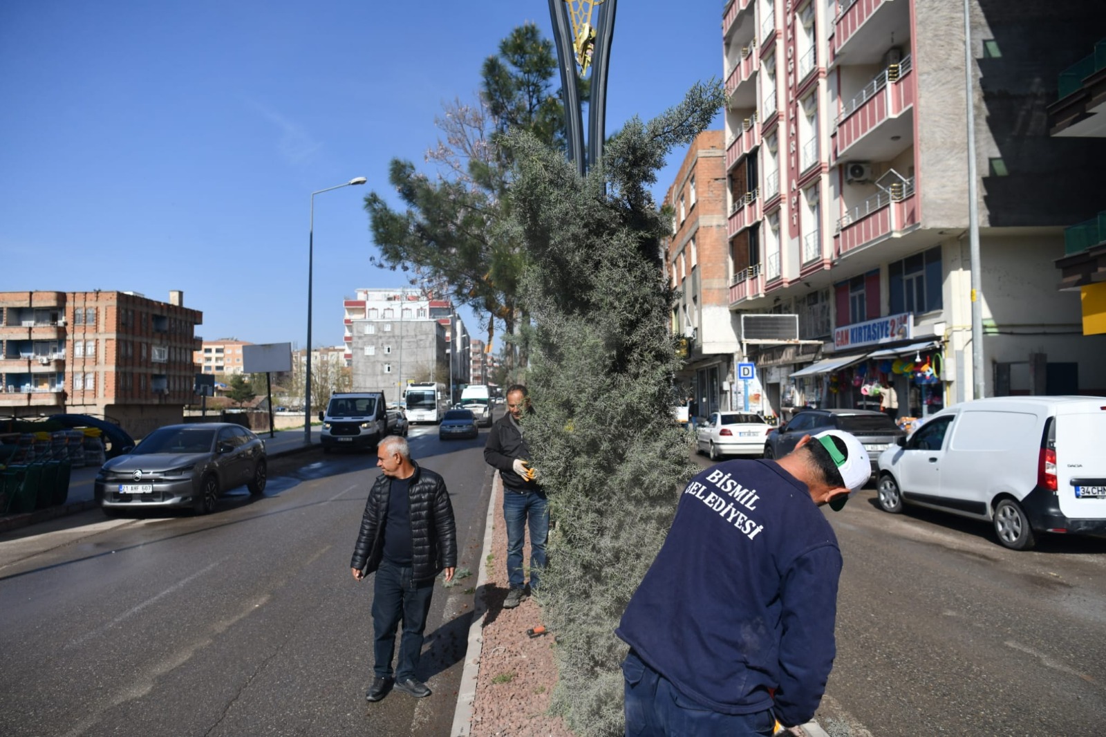 park ve bah&ccedil;e bahar bakım onarım (2)