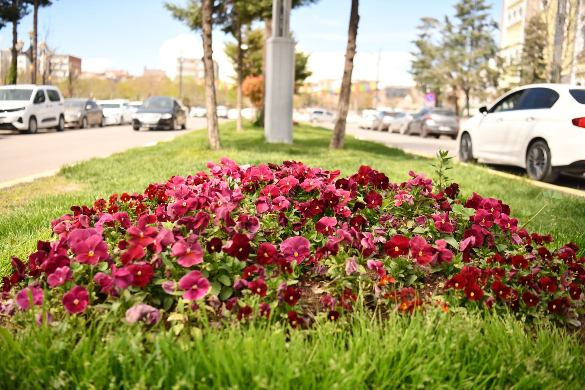 park ve bah&ccedil;e bahar bakım onarım (7)